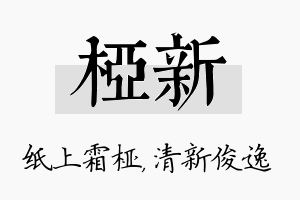 桠新名字的寓意及含义