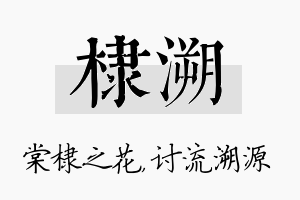 棣溯名字的寓意及含义