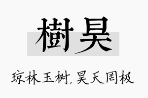 树昊名字的寓意及含义