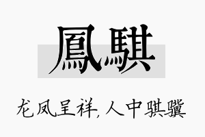 凤骐名字的寓意及含义