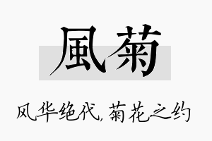 风菊名字的寓意及含义