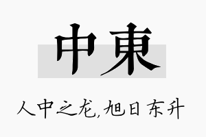 中东名字的寓意及含义