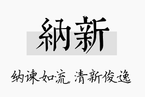 纳新名字的寓意及含义