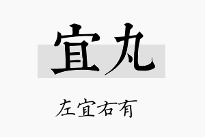 宜丸名字的寓意及含义