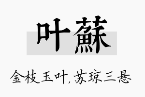 叶苏名字的寓意及含义