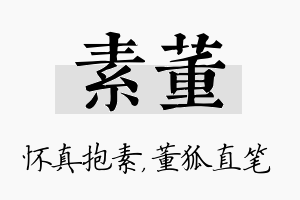 素董名字的寓意及含义