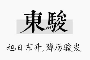 东骏名字的寓意及含义