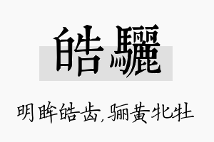 皓骊名字的寓意及含义