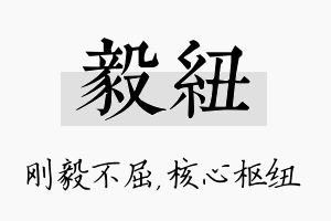 毅纽名字的寓意及含义