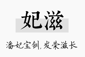 妃滋名字的寓意及含义