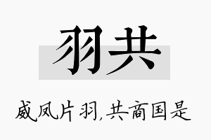 羽共名字的寓意及含义