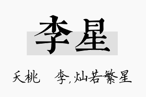 李星名字的寓意及含义