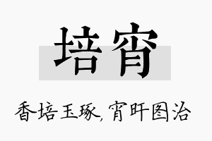 培宵名字的寓意及含义