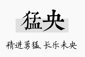 猛央名字的寓意及含义