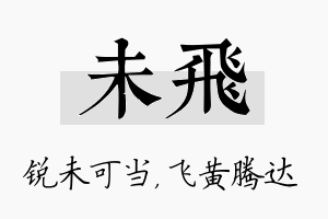 未飞名字的寓意及含义