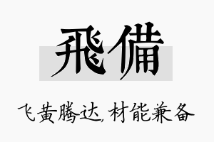 飞备名字的寓意及含义