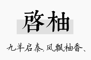 启柚名字的寓意及含义