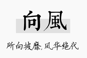 向风名字的寓意及含义