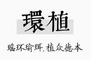 环植名字的寓意及含义