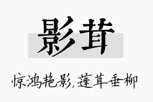 影茸名字的寓意及含义