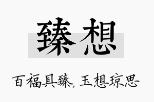 臻想名字的寓意及含义