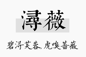 浔薇名字的寓意及含义