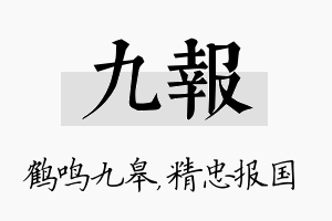 九报名字的寓意及含义