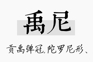 禹尼名字的寓意及含义