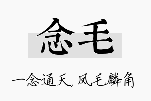 念毛名字的寓意及含义