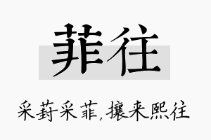 菲往名字的寓意及含义