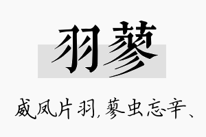 羽蓼名字的寓意及含义