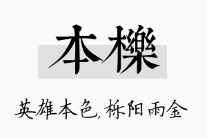 本栎名字的寓意及含义