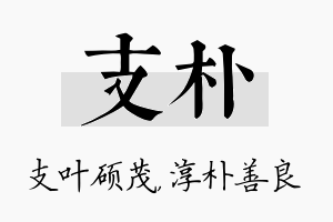 支朴名字的寓意及含义