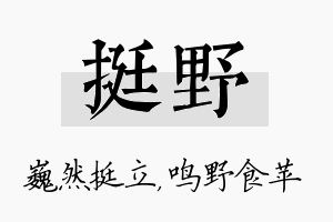 挺野名字的寓意及含义