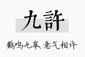 九许名字的寓意及含义