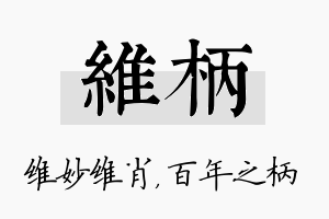 维柄名字的寓意及含义