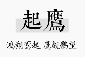 起鹰名字的寓意及含义