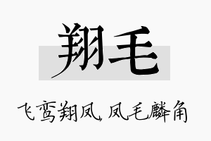 翔毛名字的寓意及含义