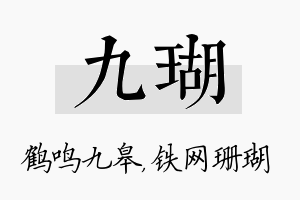 九瑚名字的寓意及含义