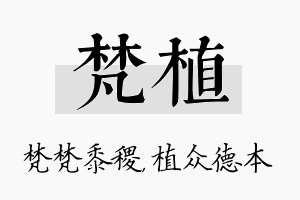 梵植名字的寓意及含义