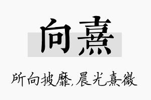 向熹名字的寓意及含义