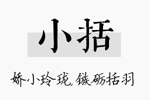 小括名字的寓意及含义