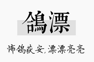 鸽漂名字的寓意及含义