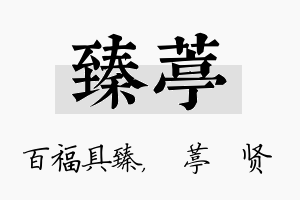 臻葶名字的寓意及含义