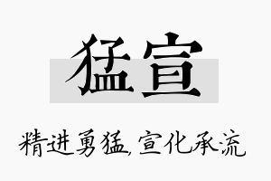 猛宣名字的寓意及含义