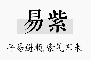 易紫名字的寓意及含义