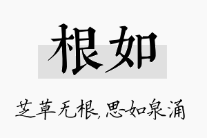 根如名字的寓意及含义