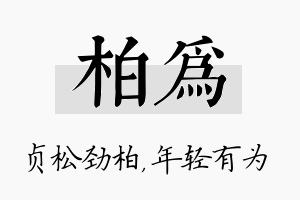 柏为名字的寓意及含义