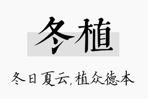 冬植名字的寓意及含义