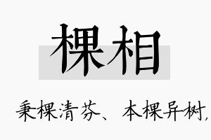 棵相名字的寓意及含义